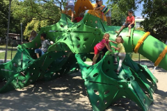 2018_koritabor_fokep